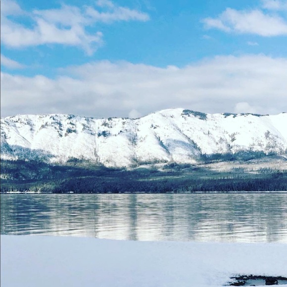 Meet your Posher, Mustafa - Picture 1 of 1